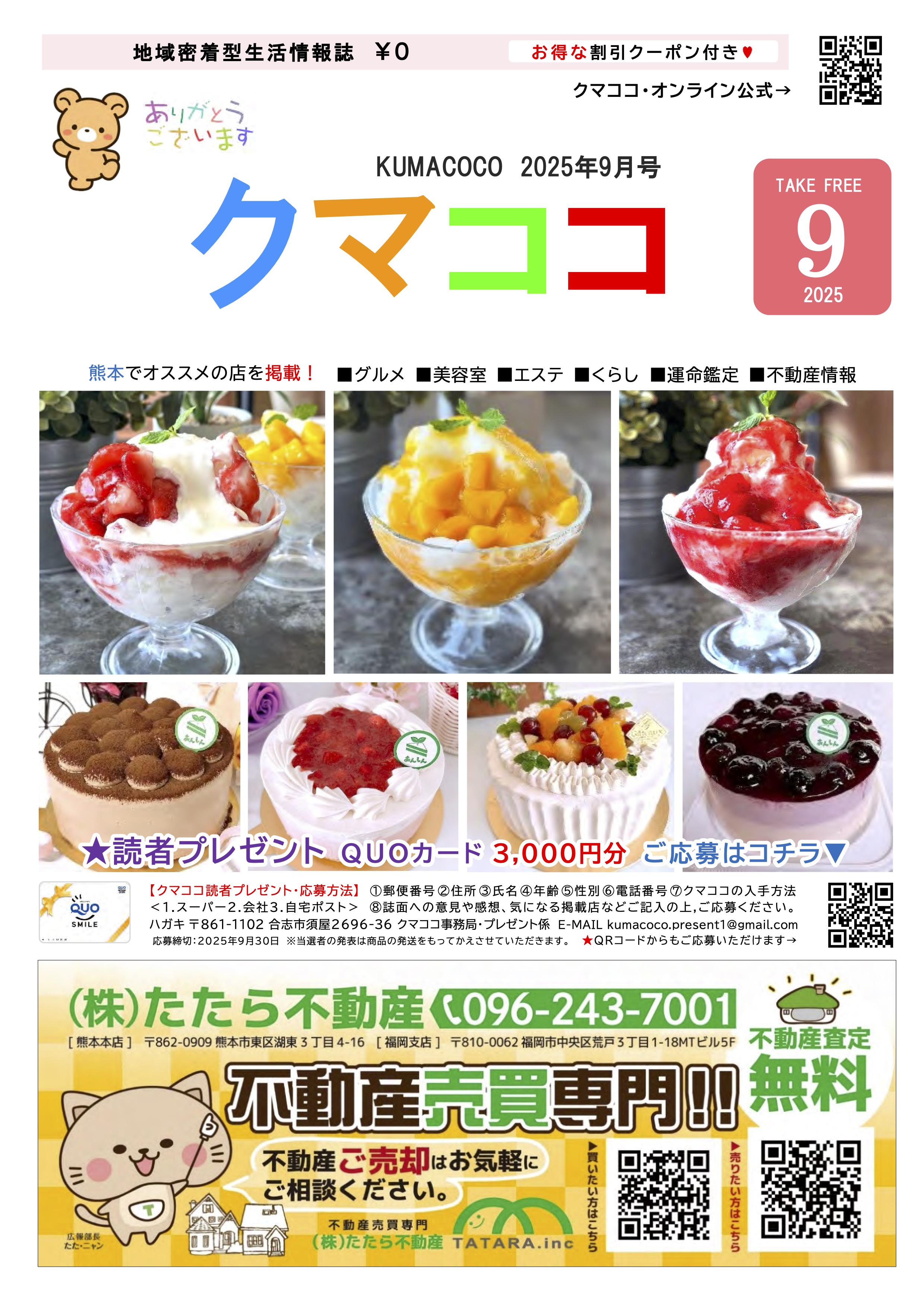 クマココ最新版 表紙
