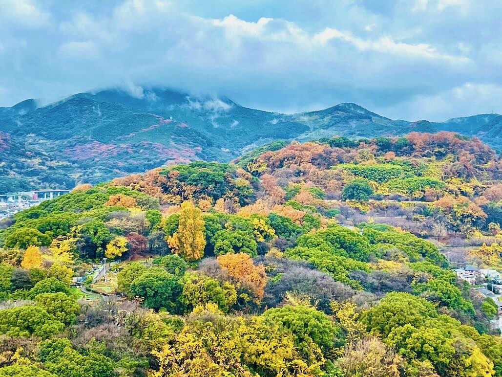 熊本ザ・タワーから花岡山を望む